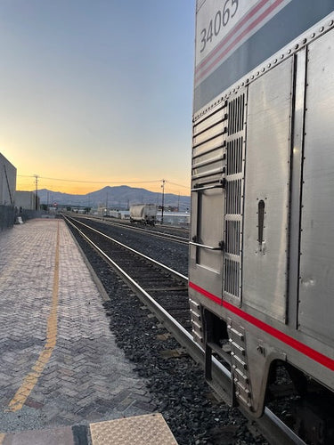Embracing the Journey: Experiential Travel with My Autistic Teen on a 30-Day Amtrak Adventure