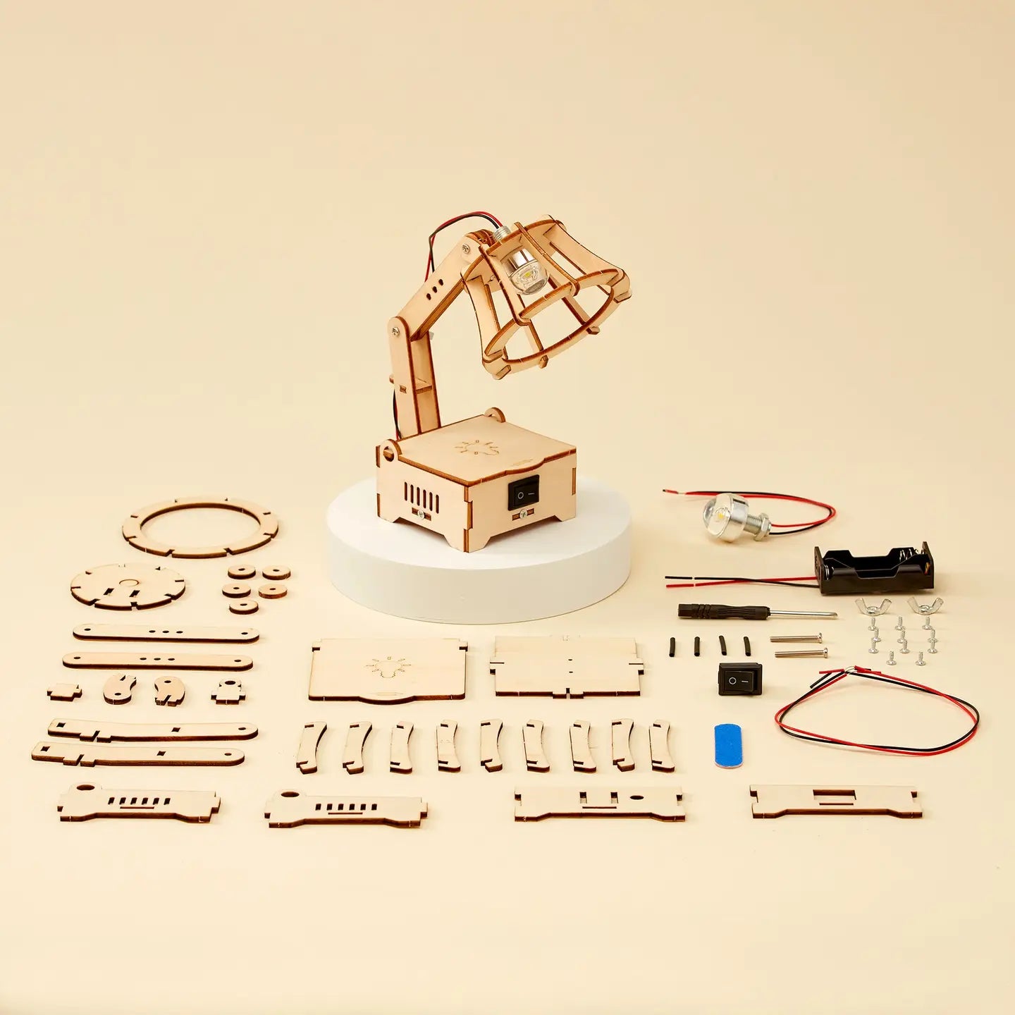 LED Lamp DIY Kit - Educational STEM Toy, Craft Kit
