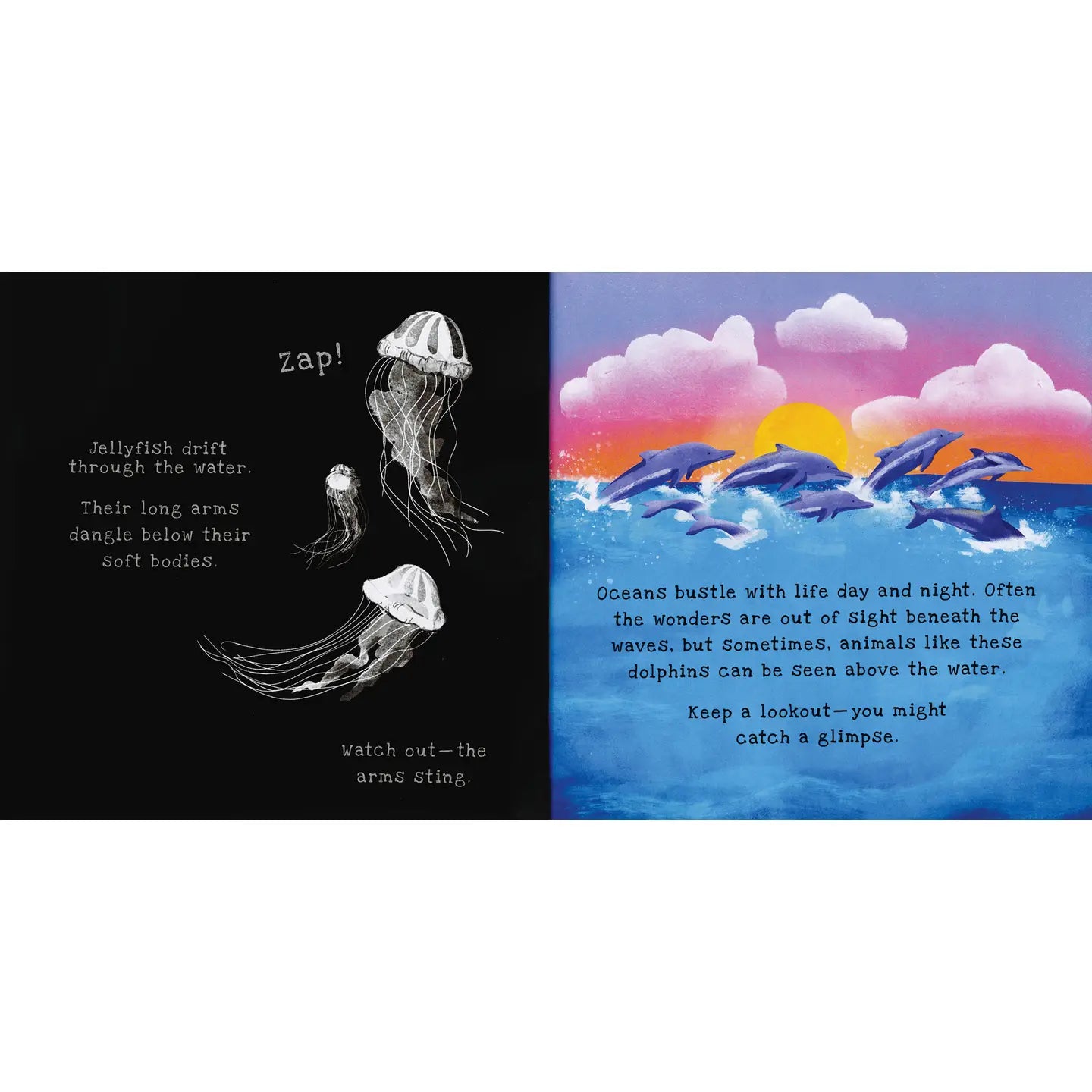 Shine-A-Light: Océanos