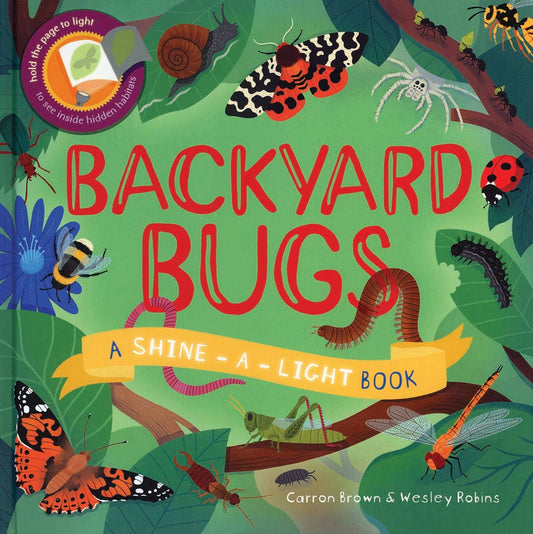 Shine-A-Light: Backyard Bugs