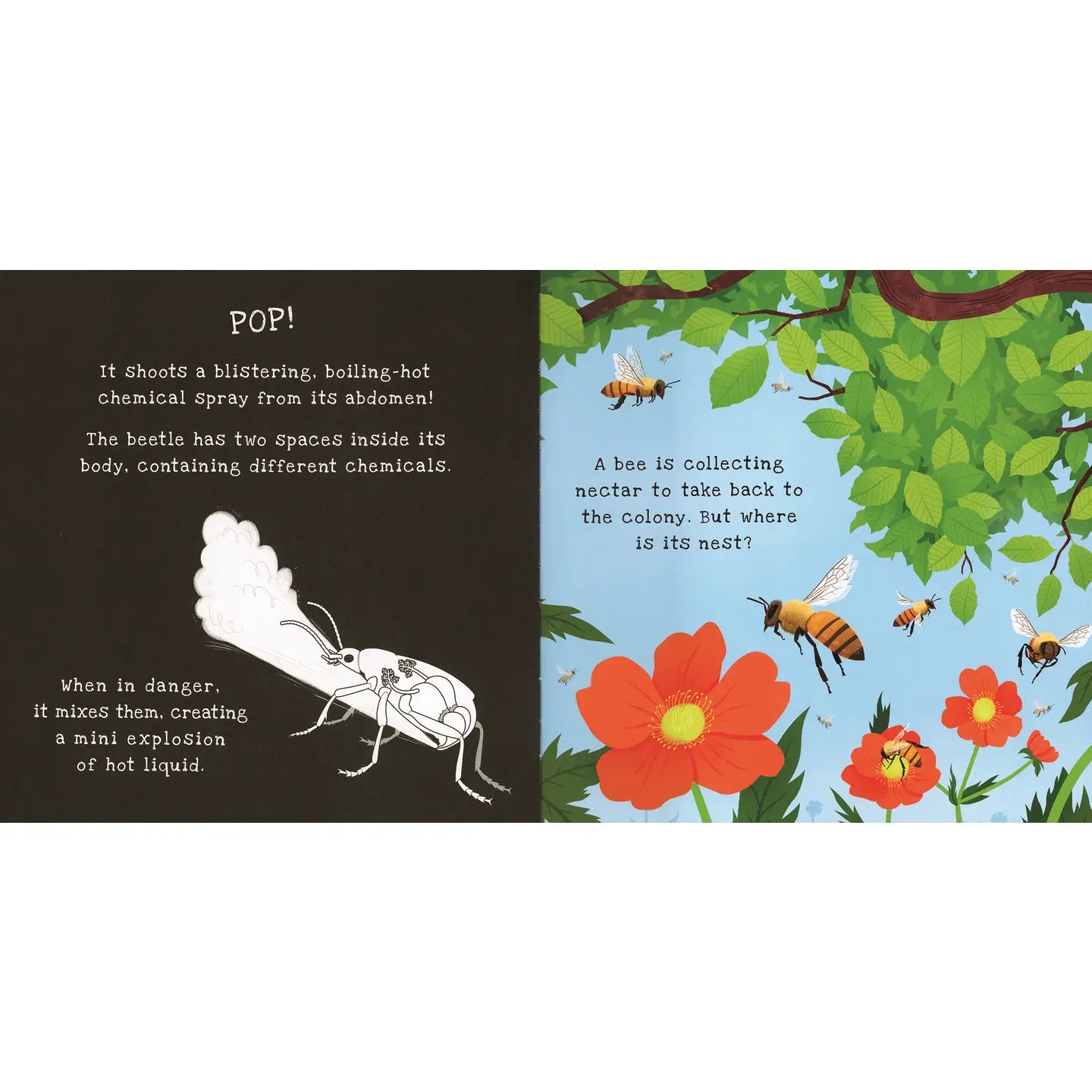 Shine-A-Light: Insectos del jardín